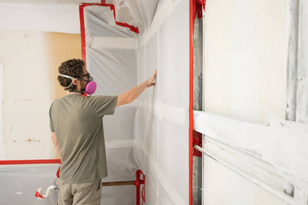 Best Mold-Related Health Consultation  in Central City, IA