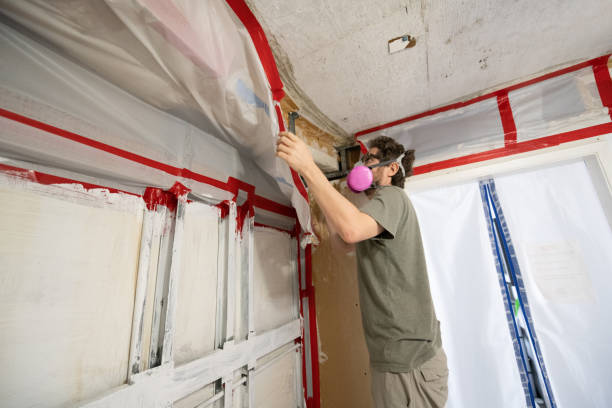 Best Post-Construction Mold Inspection  in Central City, IA
