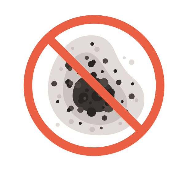 Best Mold Odor Removal Services  in Central City, IA