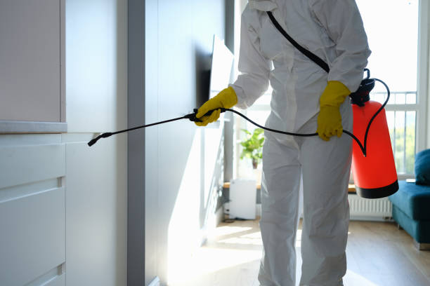Best Air Quality Testing for Mold Spores  in Central City, IA