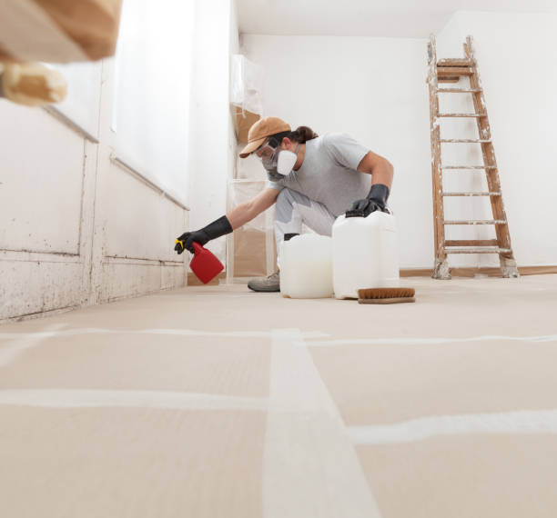 Best HVAC Mold Inspection and Cleaning  in Central City, IA