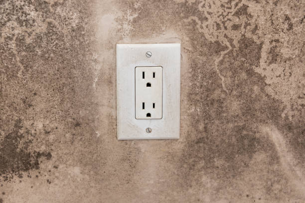 Best Industrial Mold Remediation  in Central City, IA