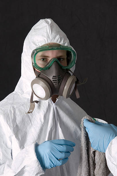 Best Basement Mold Removal  in Central City, IA